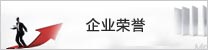 榮譽(yù)資質(zhì)